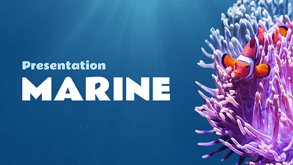 create educational presentation Interactive Marine presentation template