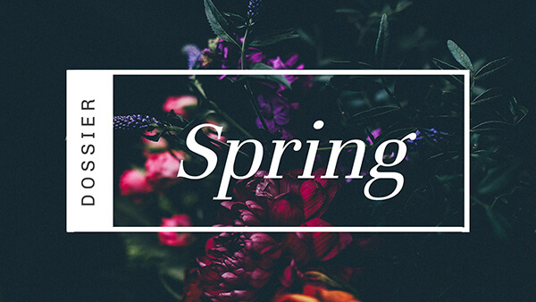 free powerpoint video presentation templates Interactive Spring dossier template