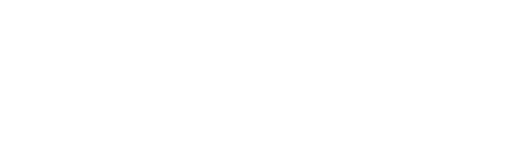 interactive presentation slides AON